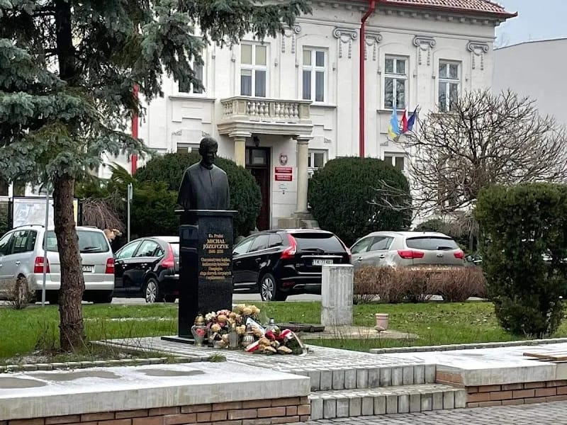 Rada Miasta Tarnobrzega - Pielęgniarstwo domowe in Tarnobrzeg, Tarnobrzeg photo 8