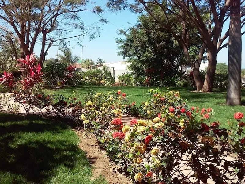 ASILO SAN JUAN DIEGO - Hogar de Ancianos in Puerto Vallarta, Jalisco photo 6