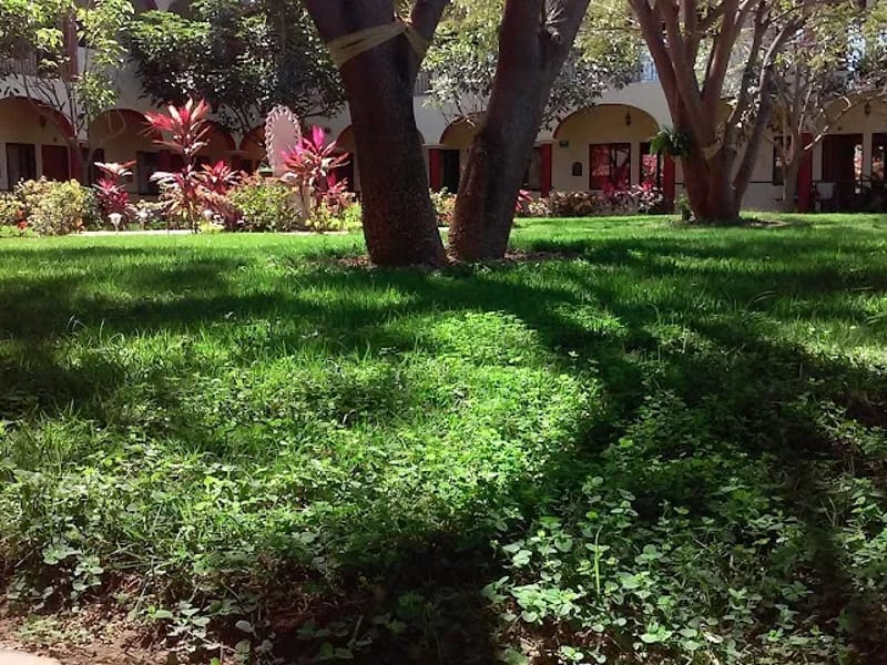 ASILO SAN JUAN DIEGO - Hogar de Ancianos in Puerto Vallarta, Jalisco photo 9