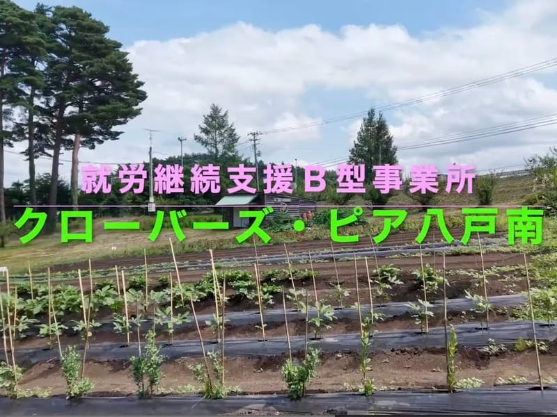 クローバーズ・ピア八戸ひまわりの家 - 有料老人ホーム in 八戸市, 青森県 photo 3