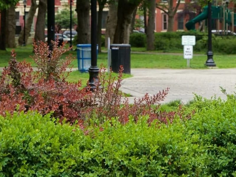 Alaris Health at Hamilton Park - Nursing Home in Jersey City, NJ photo 1