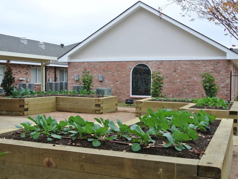 Delta Grande Skilled Nursing and Rehabilitation - Nursing Home in Monroe, LA photo 3