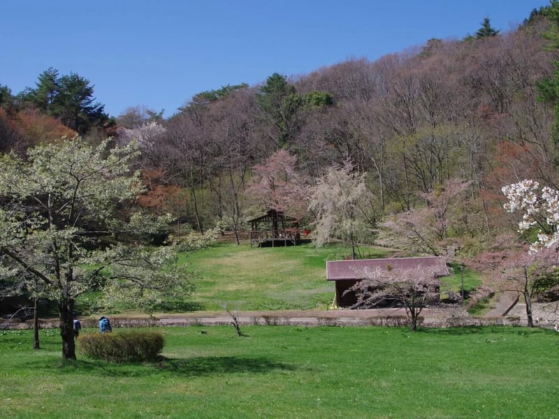 さくらの里山科 - 有料老人ホーム in 横須賀市, 神奈川県 photo 1