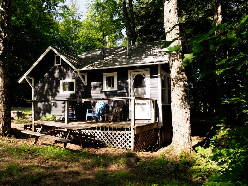 Maple Cottage - In-Home Care in Woking, England photo 4