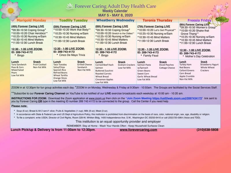 Forever Caring Limited - In-Home Care in Winchester, England photo 2