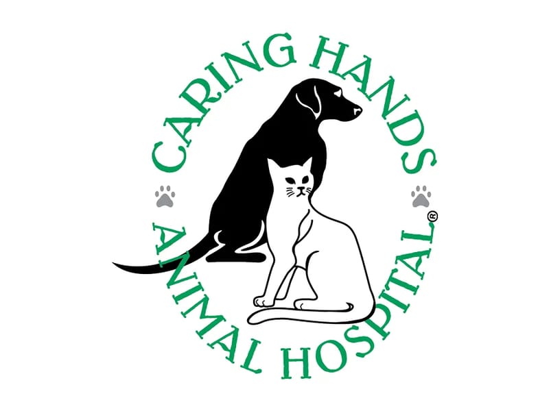 Caring Considerations — Geriatric Care Management, Arlington, VA · photo 1