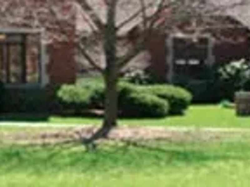 Chalgian & Tripp Law Offices PLLC - Elder Law in Jackson, MI photo 3