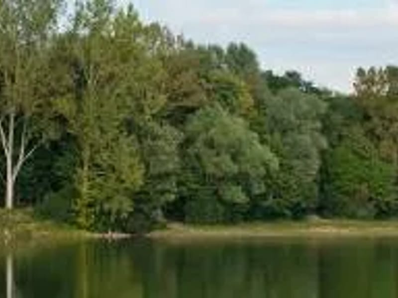 ALLOHEIM Seniorenzentrum Bergstrasse - Pflegeheim in Bickenbach, Hessen photo 3