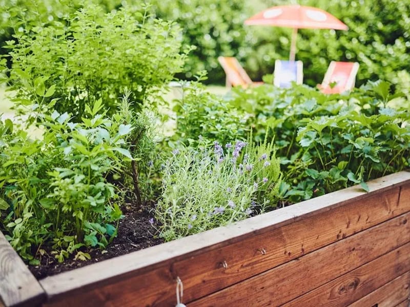 Johanniter-Stift Gelsenkirchen - Pflegeheim in Gelsenkirchen, Nordrhein-Westfalen photo 6