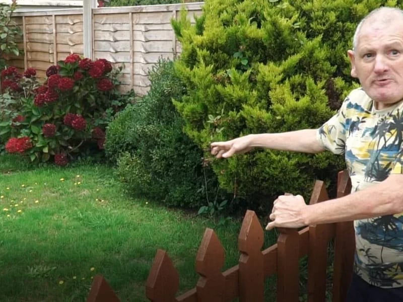 Diverse Abilities Plus - Supported Living - Assisted Living in Poole, England photo 3