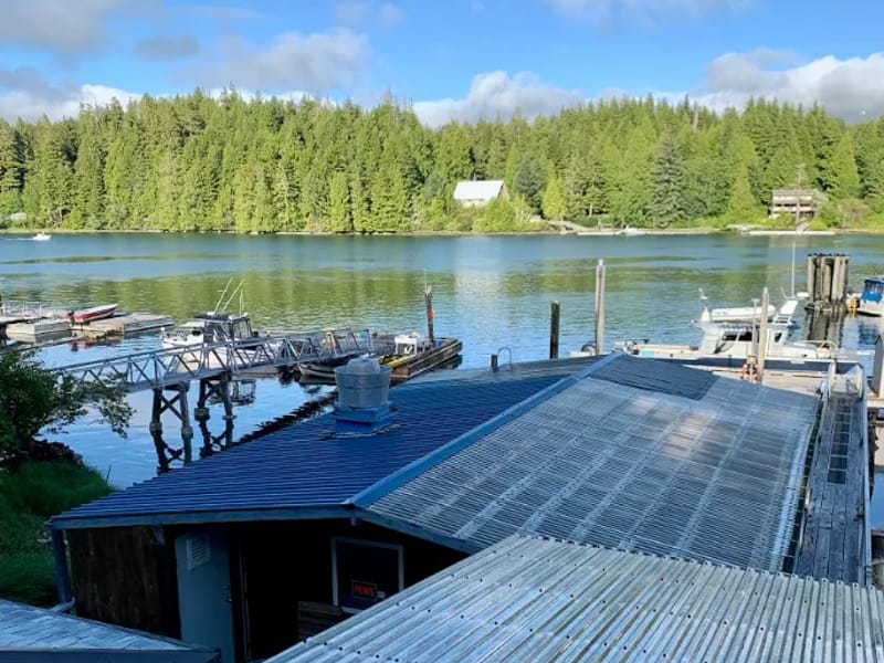 Bamfield Lodge in Bristol, England photo 3