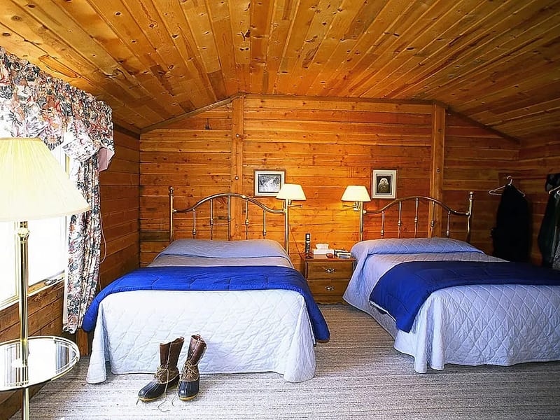 Bamfield Lodge in Bristol, England photo 1