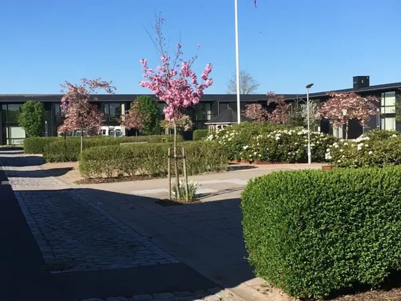 Sophienborg Plejecenter - Plejebolig in Hillerød, Region Hovedstaden photo 3