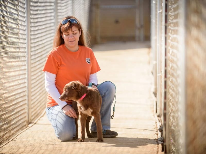 A FRIEND IN NEED, INC. - Home Health Nursing in Huntsville, AL photo 1