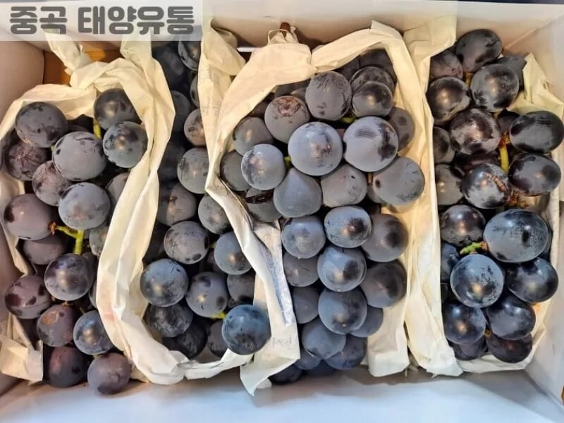 거봉의료기 - 요양원 in 순천시, 전라남도 photo 1