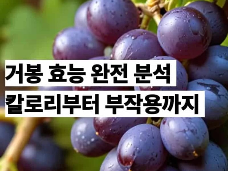 거봉의료기 - 요양원 in 순천시, 전라남도 photo 2
