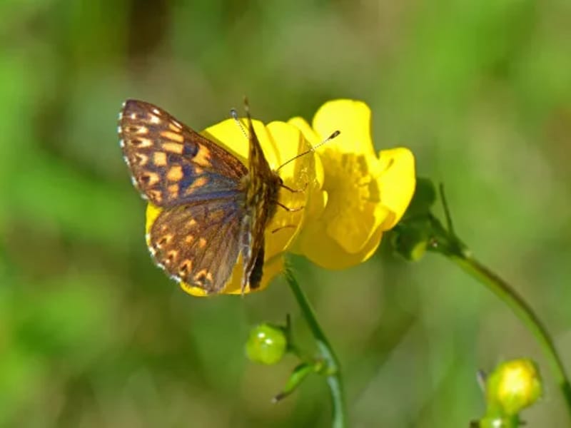 Fröjdekulla - Äldreboende in Nybro, Kalmar län photo 2
