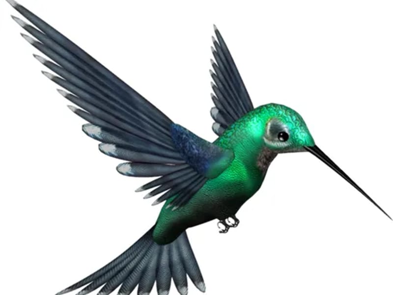 Colibri - Hogar de Ancianos in Osorno, Región de Los Lagos photo 3