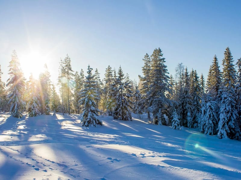 Torsby södra - Äldreboende in Torsby, Värmlands län photo 3