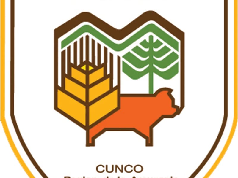 Ayén Ruca (Lugar De Sonrisas) - Hogar de Ancianos in Cunco, Región de la Araucanía photo 2