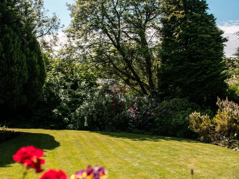 Rose Cottage Nursing Care Home in Sheffield, England photo 3