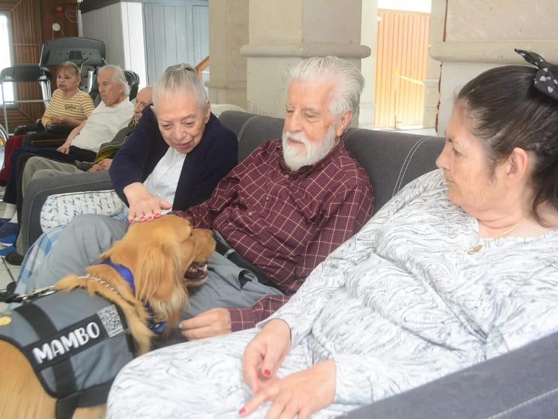 CASA DE DESCANSO PARA ADULTOMAYOR - Vida Asistida in Morelia, Michoacán photo 2