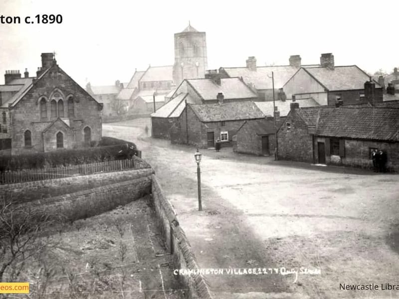 Home Instead South East Northumberland - In-Home Care in Cramlington, England photo 3