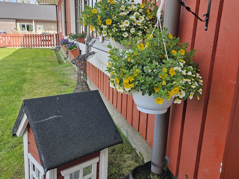 Mainiokoti Seutula - Vanhainkoti in Rovaniemi, Lappi photo 2