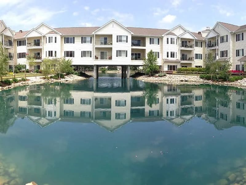 Willow Brook in Fareham, England photo 2