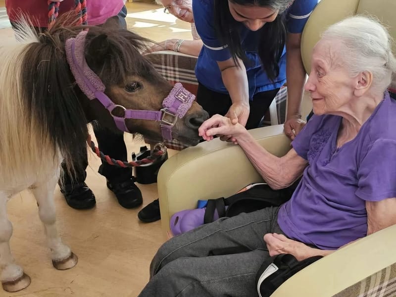 Camelot House & Lodge - Nursing Home in Wellington, England photo 3
