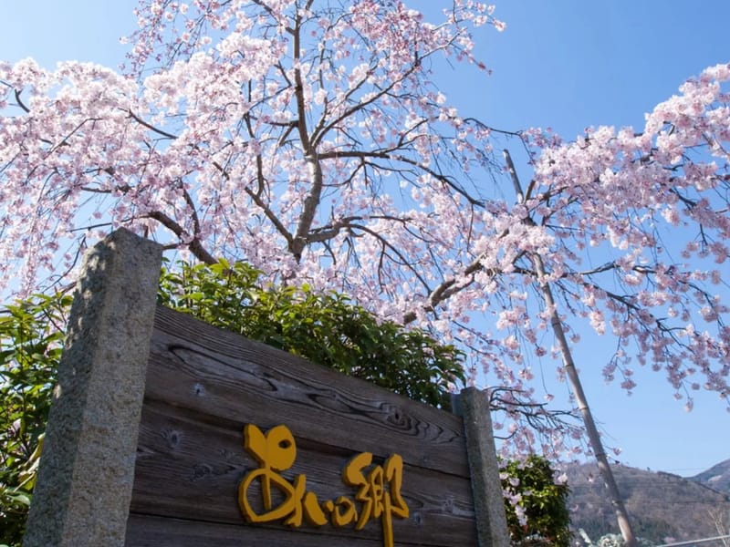 あいの郷 - 有料老人ホーム in 三好市, 徳島県 photo 3