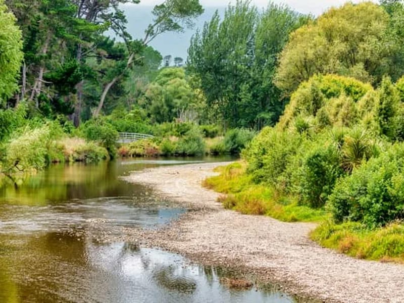 Waikanae Country Lodge - Nursing Home in Waikanae, Capital and Coast District Health Board photo 3