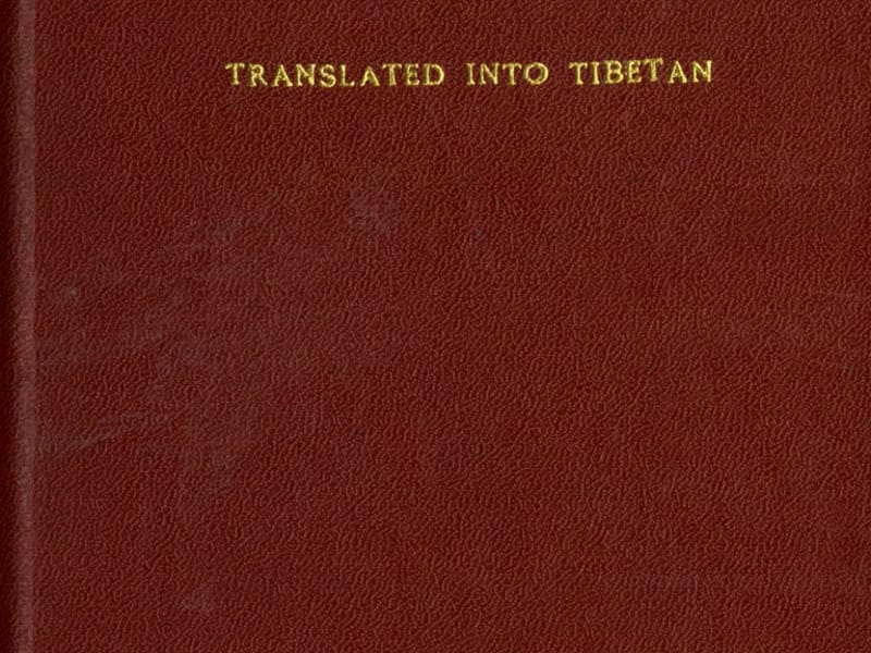 ANNA CHOS LLC - Home Health Nursing in Marietta, GA photo 1