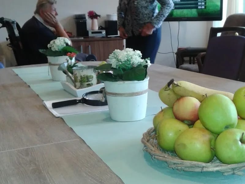 Alliade ouderenzorg Anna Schotanus - Verpleeghuis in Heerenveen, Friesland photo 6