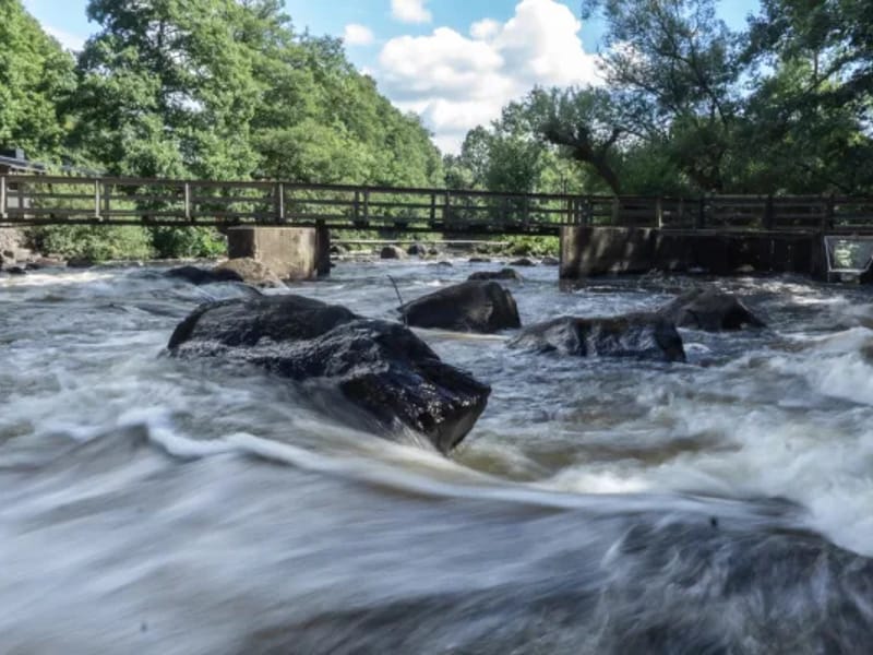 Mörrum - Äldreboende in Karlshamn, Blekinge län photo 1