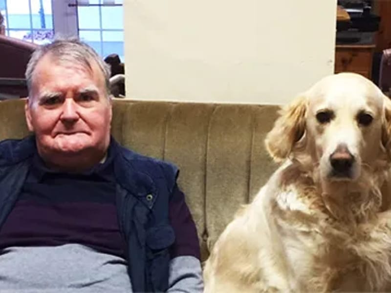 Deer Park Nursing Home - Nursing Home in Holsworthy, England photo 2