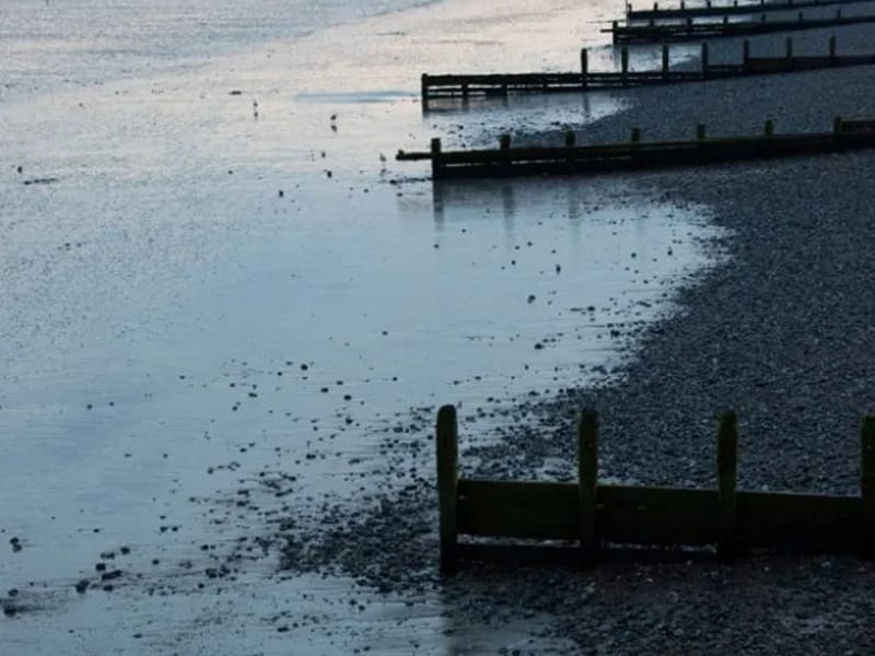 West Sussex - In-Home Care in Worthing, England photo 3