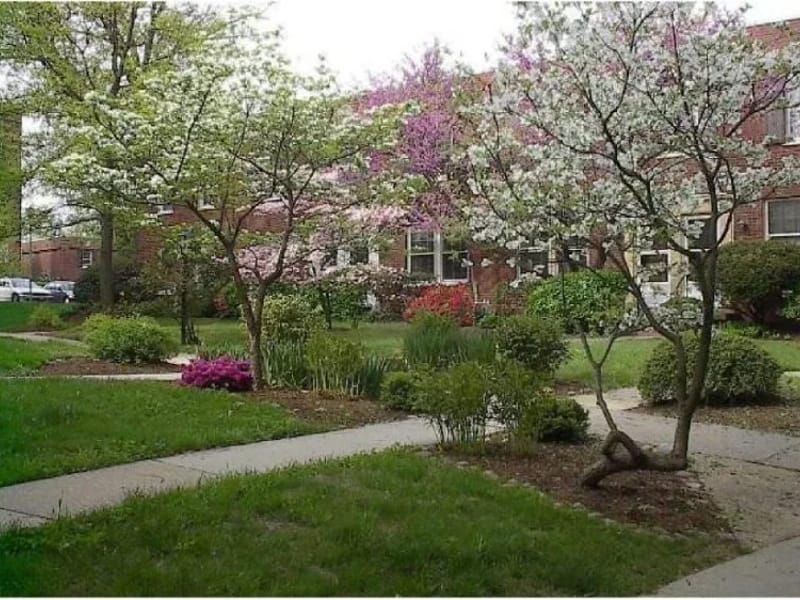 Arlington Neighborhood Village - Medical Transport in Arlington, VA photo 1