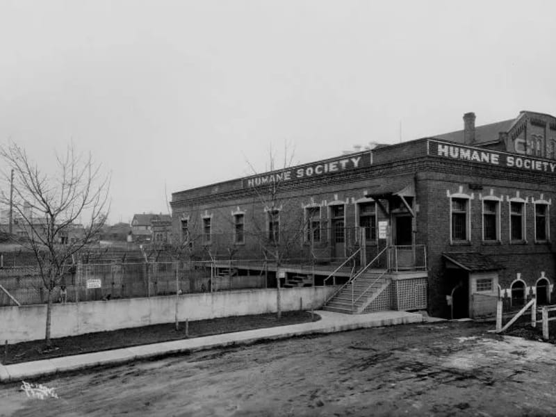 All Ways Caring - Medical Transport in Spokane Valley, WA photo 1