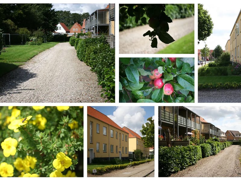 Afdeling Reden - Plejebolig in Haderslev, Region Syddanmark photo 2