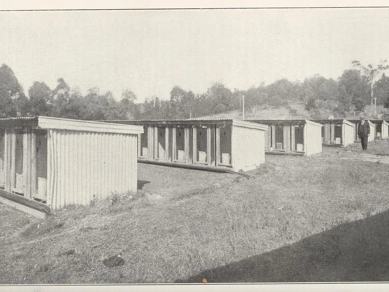 Alzheimer's Queensland Resource Centre - Adult Day Care in Upper Mount Gravatt, QLD photo 2