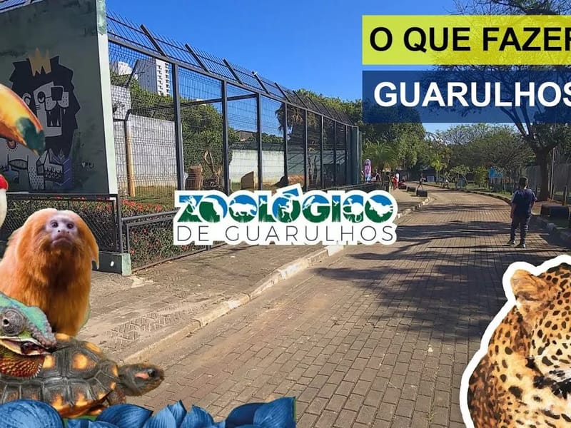 OURODENTS - Cuidado Domiciliar in Guarulhos, SP photo 2