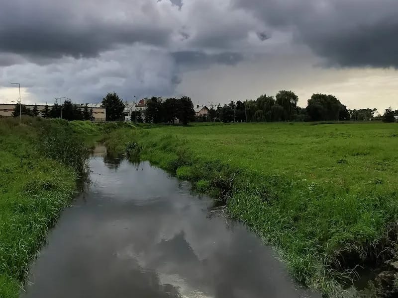 Powiat Płoński - Dom pomocy społecznej in Płońsk, Płońsk photo 9