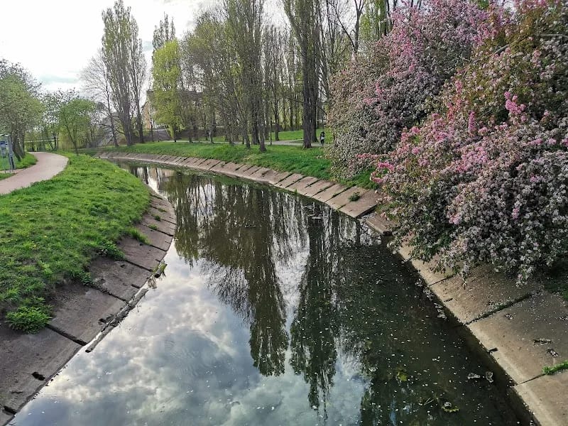 Powiat Płoński - Dom pomocy społecznej in Płońsk, Płońsk photo 5