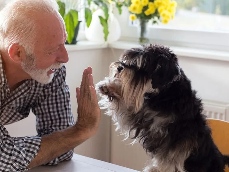 Aging In Place, Handyman Matters - Home Safety Modifications in Lakewood, CO photo 1