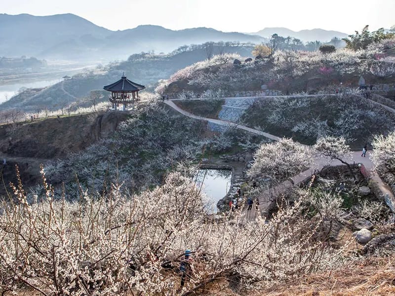 매화꽃주야간보호센터 - 주간보호 in 광양시, 전라남도 photo 3