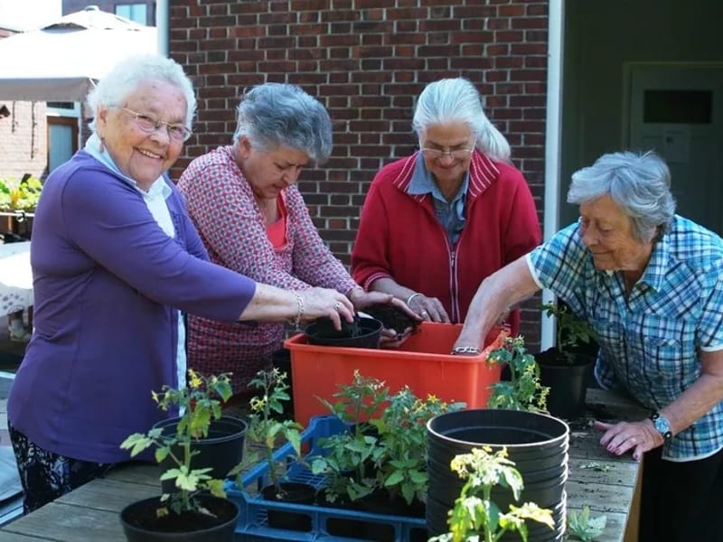 Zorgcentrum Den Haagacker - Verpleeghuis in Valkenswaard, Noord-Brabant photo 9