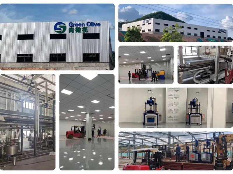 Green Olive Care Ltd in Enfield, England photo 2