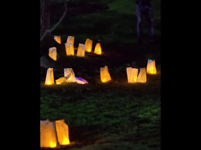 St Michael's Hospice Hastings and Rother - Hospice in St Leonards On Sea, England photo 1
