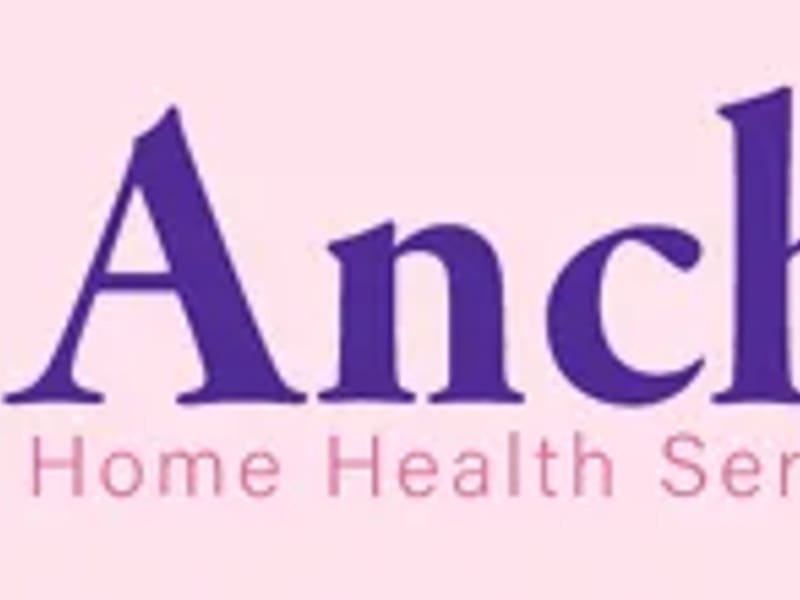 Anchor Home Health Care Agency, Inc - Home Health Nursing in Palos Hills, IL photo 1